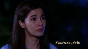 爱之轮回国产剧在线播放