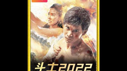 国产动作大片在线,燃情演绎家国情怀